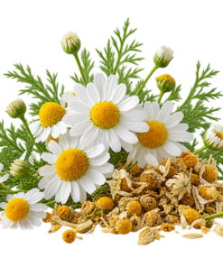 خرید عرق بابونه اصل + خواص برای میگرن، معده و افسردگی | کاکوتی