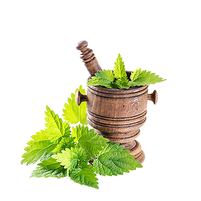 عرقیجات طبیعت معتدل