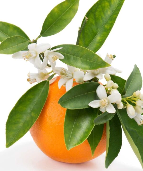 عرق بهارنارنج