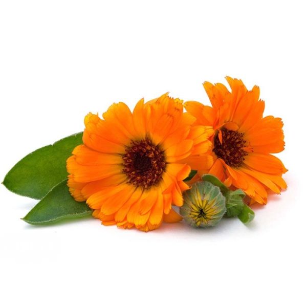 عرق گلبهار