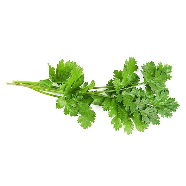 عرق گشنیز- سرزمین سلامتی کاکوتی