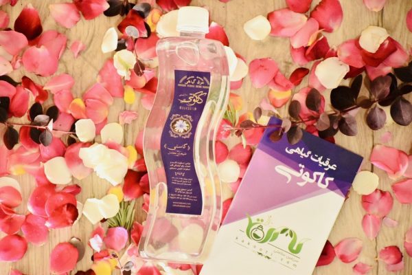 بسته شماره یک طبیعت سرد