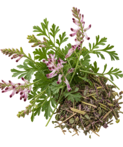 خرید عرق شاتره اصل + خواص عرق شاتره برای کبد، اگزما و تصفیه خون | کاکوتی