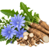 خرید عرق کاسنی اصل + خواص عرق کاسنی برای کبد چرب، جوش و باروری | کاکوتی