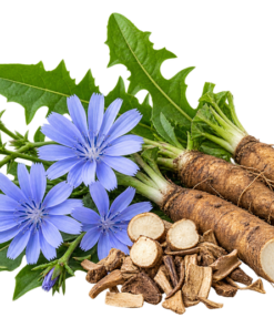 خرید عرق کاسنی اصل + خواص عرق کاسنی برای کبد چرب، جوش و باروری | کاکوتی