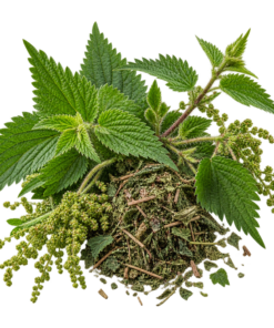 خرید عرق گزنه اصل + خواص برای قند خون، ریزش مو و کم خونی | کاکوتی