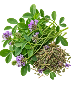 خرید عرق یونجه اصل + خواص عرق یونجه برای چاقی، کم‌خونی و دیابت | کاکوتی