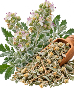 خرید عرق کلپوره اصل + خواص برای دیابت، گوارش و اسهال | کاکوتی