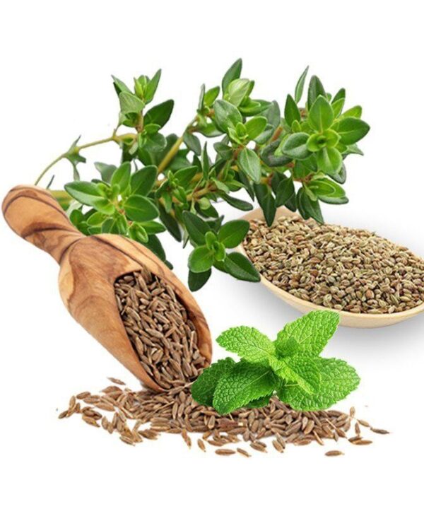 چهار عرق گزم- سرزمین سلامتی کاکوتی