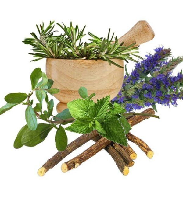 معجون سرماخوردگی و سرفه- سرزمین سلامتی کاکوتی