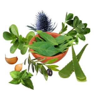 معجون قند خون- سرزمین سلامتی کاکوتی