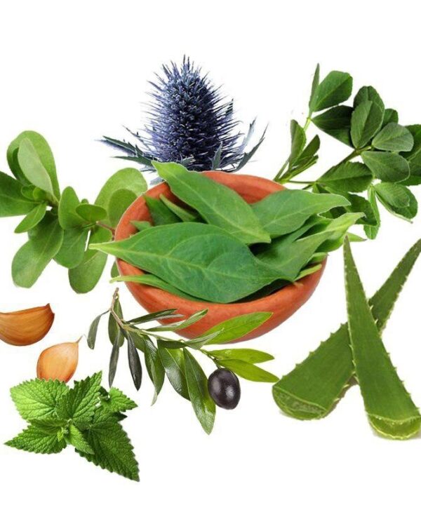 معجون قند خون- سرزمین سلامتی کاکوتی
