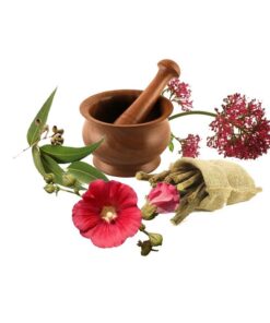 معجون شب ادراری- سرزمین سلامتی کاکوتی