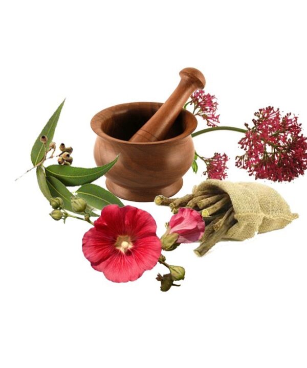 معجون شب ادراری- سرزمین سلامتی کاکوتی