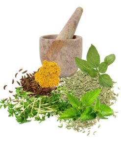 معجون شیر افزا -سرزمین سلامتی کاکوتی