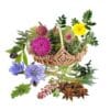 معجون کبد -سرزمین سلامتی کاکوتی