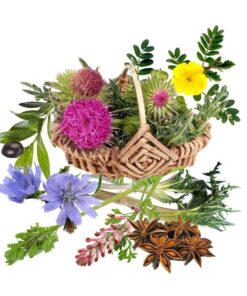 معجون کبد -سرزمین سلامتی کاکوتی