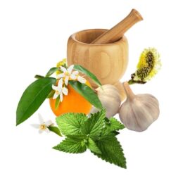 معجون فشار خون -سرزمین سلامتی کاکوتی