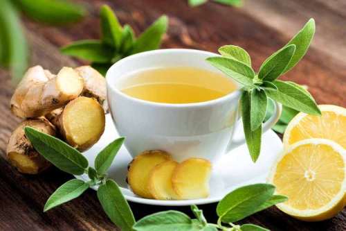 عرق سنتی ، عرقیجات ، عرق کاکوتی ، مجله کاکوتی ، سرزمین سلامتی کاکوتی