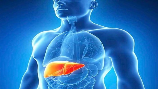 عرق سنتی ، عرقیجات ، عرق کاکوتی ، مجله کاکوتی ، سرزمین سلامتی کاکوتی