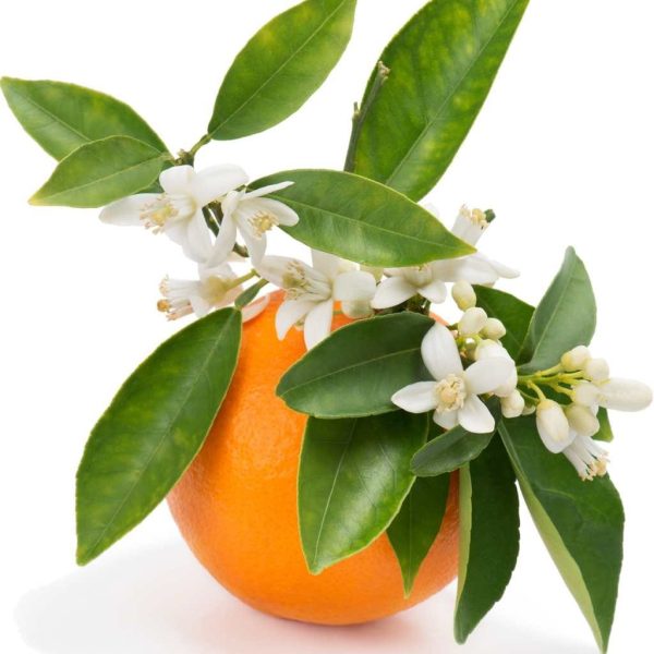 بهارانه