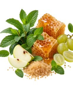 خرید شربت سکنجبین سنتی + خواص برای کبد و دفع صفرا | کاکوتی