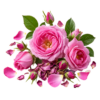 خرید شربت گلاب اصل + خواص برای آرامش اعصاب، قلب و کبد | کاکوتی