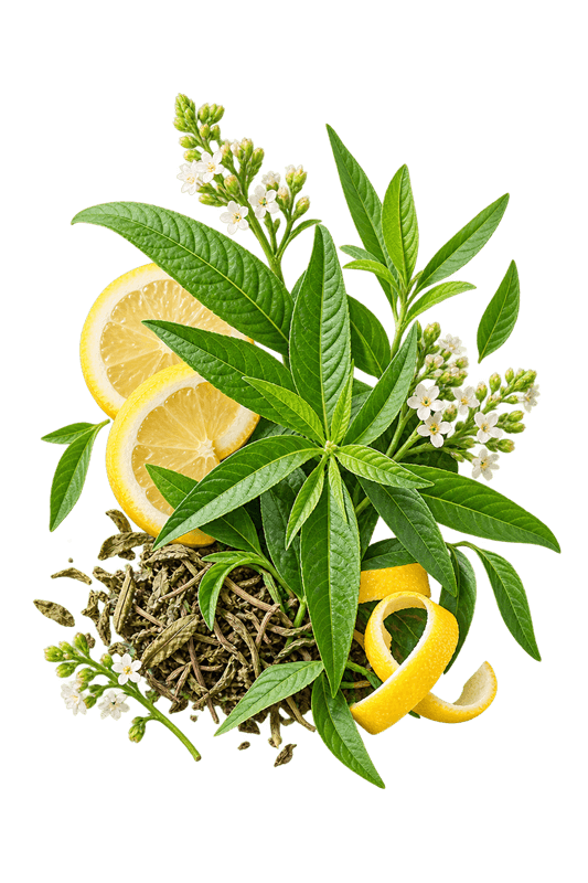 شربت به لیمو 1 خرید شربت بهلیمو اصل + خواص برای آرامش اعصاب، لاغری و ریه | کاکوتی