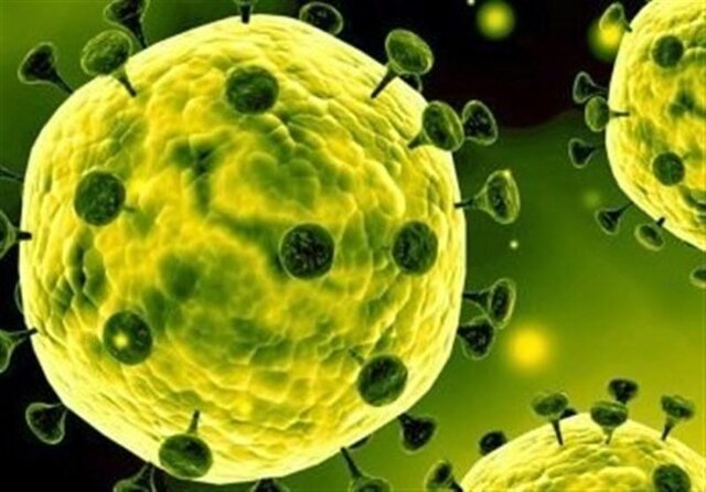 مقابله با ویروس کرونا در طب سنتی