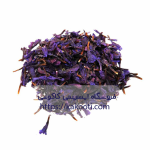 گل گاو زبان خشک کاکوتی