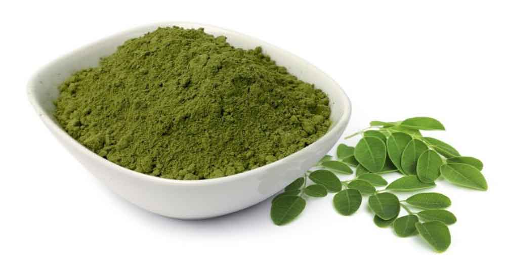 آشنایی با خواص گیاه سدر و کاربرد آن در طب سنتی