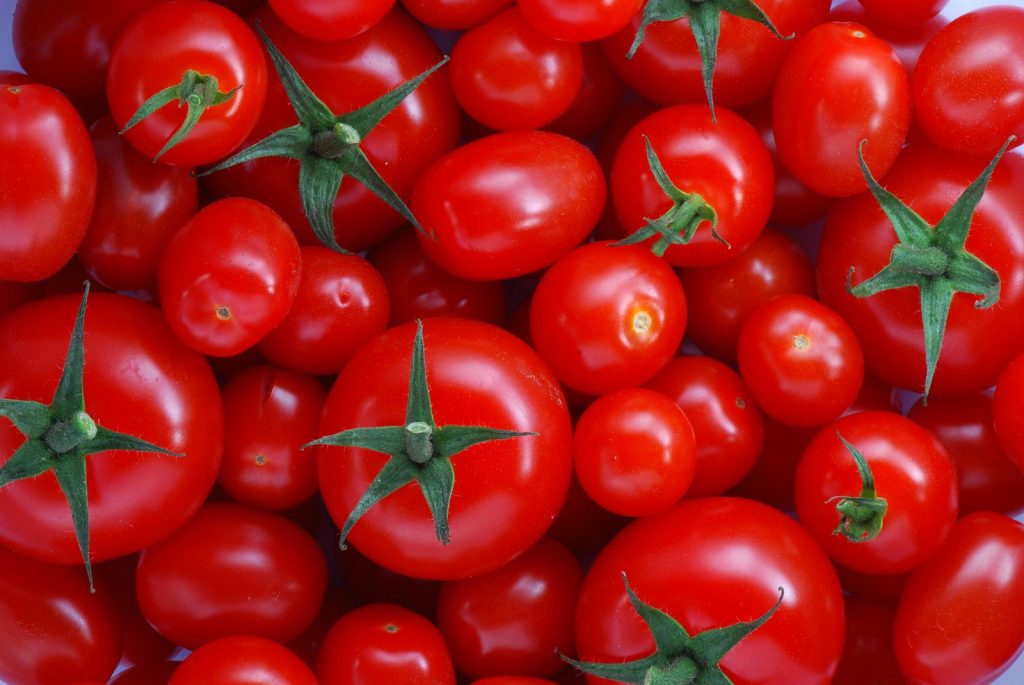  آشنایی با گوجه فرنگی و خواص درمانی آن در طب سنتی