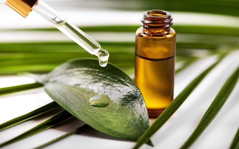 آشنایی با روغن درخت چای و خواص درمانی آن در طب سنتی