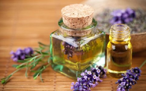  آشنایی با روغن گل بنفشه و خواص درمانی آن در طب سنتی