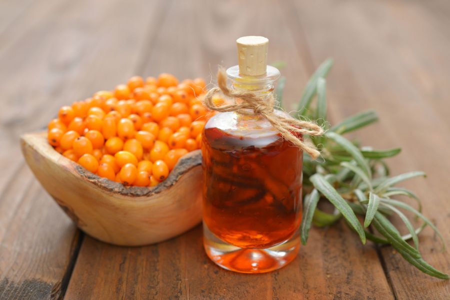  آشنایی با روغن هسته سنجد و خواص درمانی آن در طب سنتی