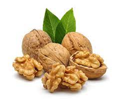  آشنایی با گردو و خواص درمانی آن در طب سنتی