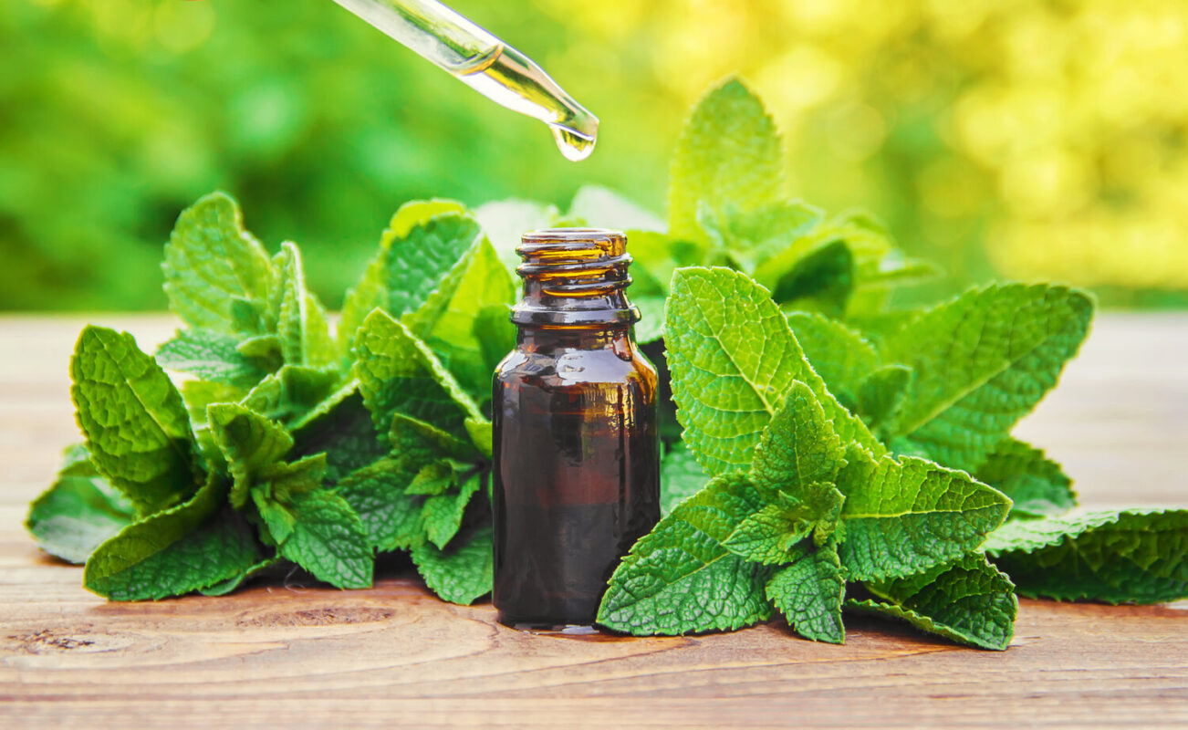  آشنایی با روغن بادرنجویه و خواص درمانی آن در طب سنتی