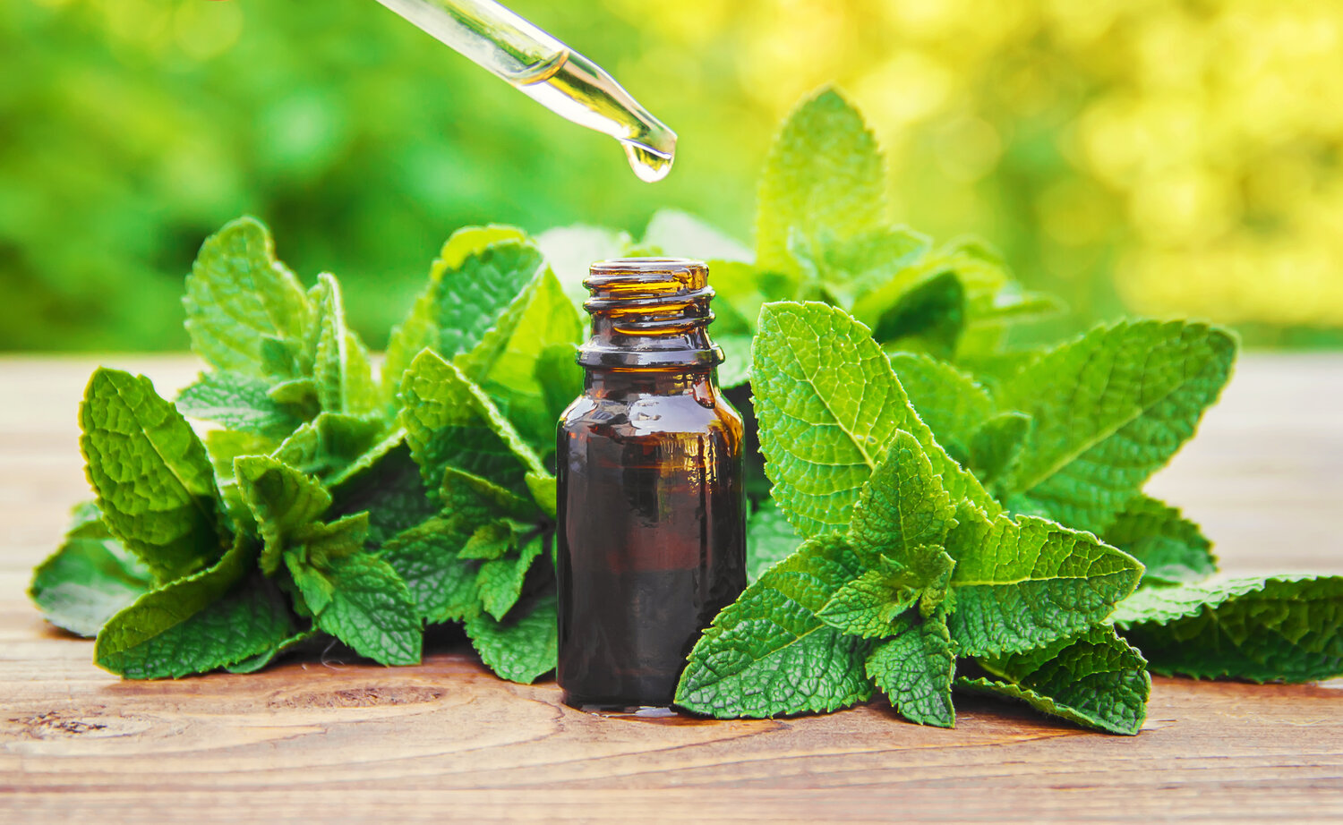 آشنایی با روغن بادرنجویه و خواص درمانی آن در طب سنتی