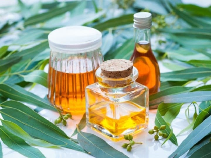  آشنایی با روغن اکالیپتوس و خواص درمانی آن در طب سنتی