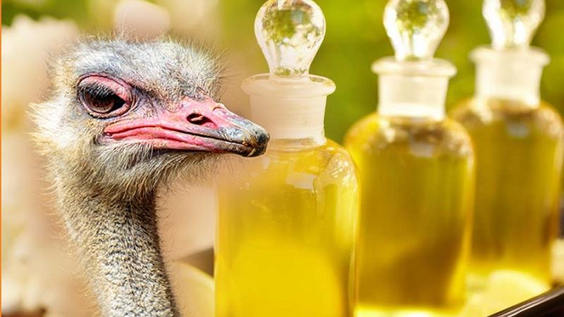 خواص روغن شترمرغ
