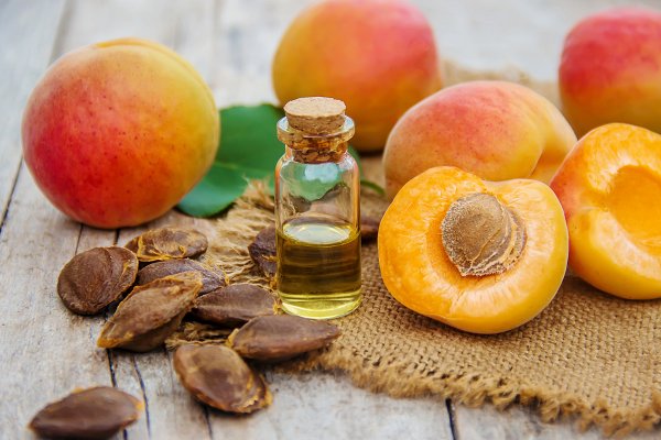  آشنایی با خواص هسته و روغن هسته زردآلو در طب سنتی