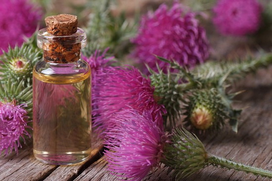  آشنایی با خواص دارویی عرق و روغن بابا آدم در طب سنتی