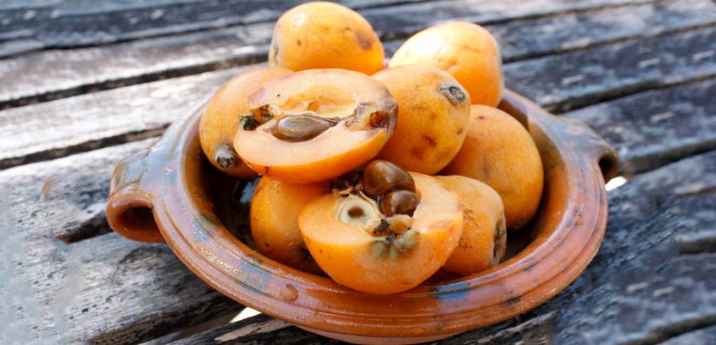 خواص ازگیل