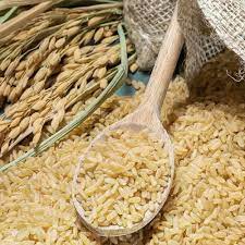  آشنایی با شلتوک و عرق شلتوک و خواص درمانی آنها در طب سنتی