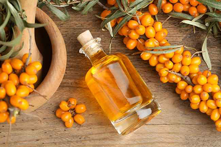  آشنایی با خواص درمانی خولان دریایی و روغن آن در طب سنتی