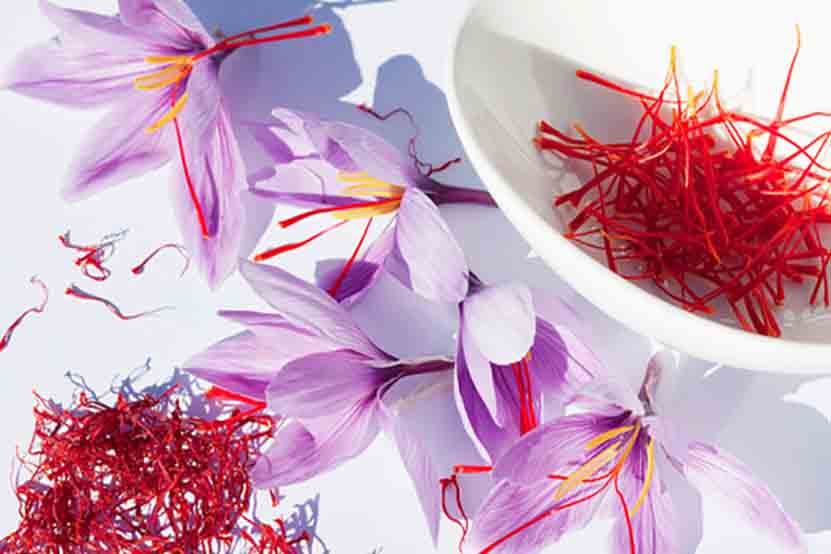  آشنایی با خواص درمانی عرق گیاهی زعفران در طب سنتی