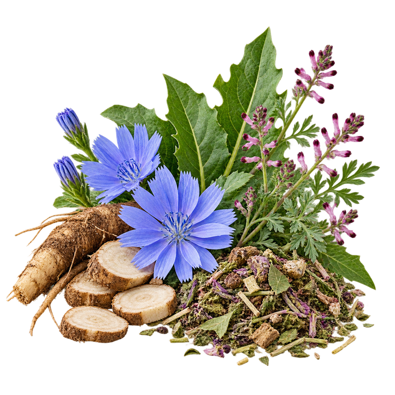 عرق کاسنی و شاهتره ترکیبی، یکی از معروفترین و موثرترین عرقیات طب سنتی برای تصفیه خون، پاکسازی کبد و شادابی پوست است. این ترکیب مكمل و معتدل، با کاهش غلظت و چسبندگی خون، جوشهای صورت، خارش و حساسیتهای پوستی را برطرف کرده و به بهبود عملکرد کلیه و مجاری ادراری کمک میکند. برای پاکسازی سموم بدن و داشتن پوستی شفاف، عرق کاسنی شاتره kakooti.com بهترین انتخاب روزانه شماست.