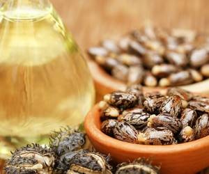 آشنایی با روغن کرچک و خواص درمانی آن در طب سنتی