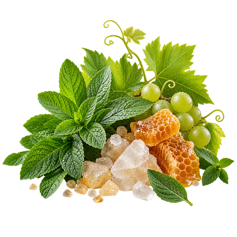 عرق سکنجبین (شربت سکنجبین سنتی)، یکی از اصیلترین شربتهای گوارشی و شفابخش طب ایرانی است که از ترکیب موزون سرکه و مواد قندی (عسل یا انگبین) تهیه میشود. این عرق طبایع گرم و سرد را متعادل کرده، بهترین مصلح برای کاهو و خیار است و پاککننده قوی کبد و دافع صفرا به شمار میرود. برای رفع عطش، کاهش حرارت بدن و پاکسازی سموم، عرق سکنجبین kakooti.com انتخابی فراتر از یک نوشیدنی معمولی است.