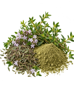 پودر آویشن